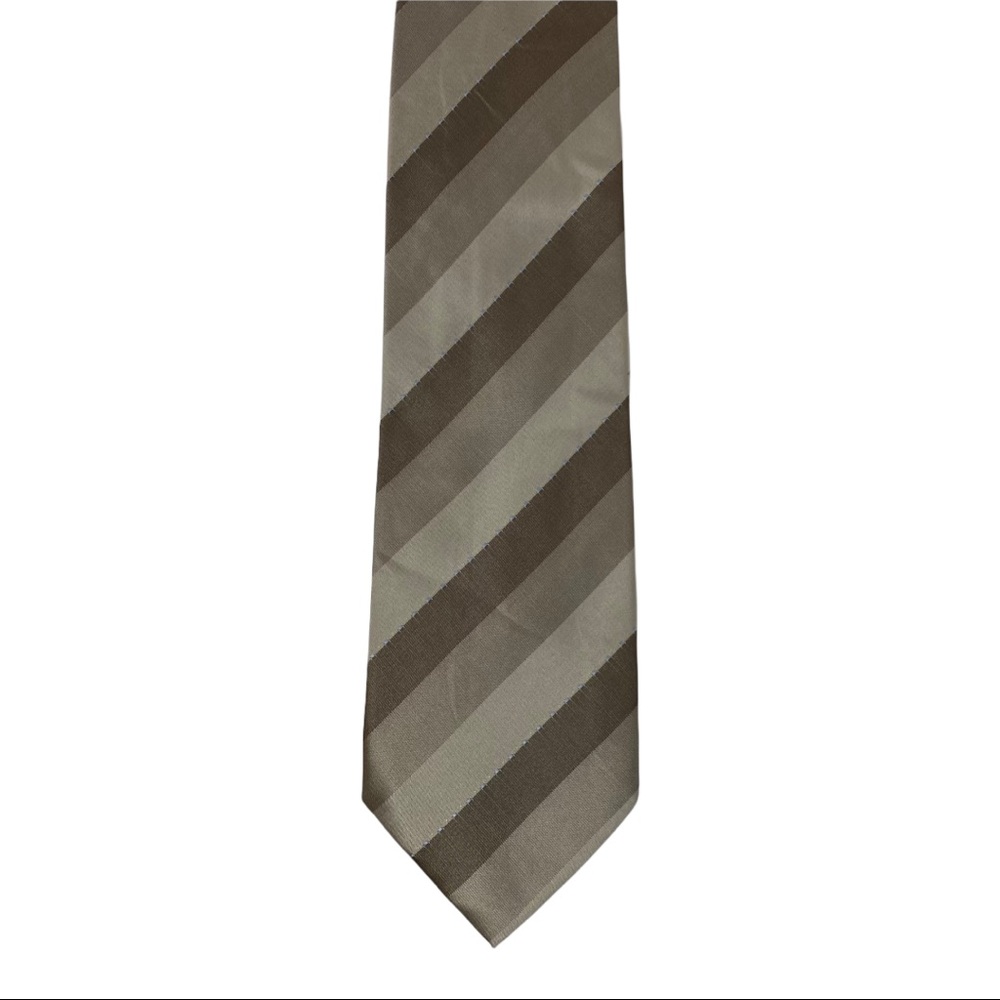 Steven Land Striped Silk Tie, Brown
